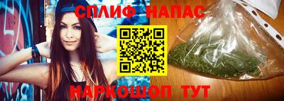 гашик Гусь-Хрустальный