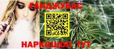 гашик Гусь-Хрустальный
