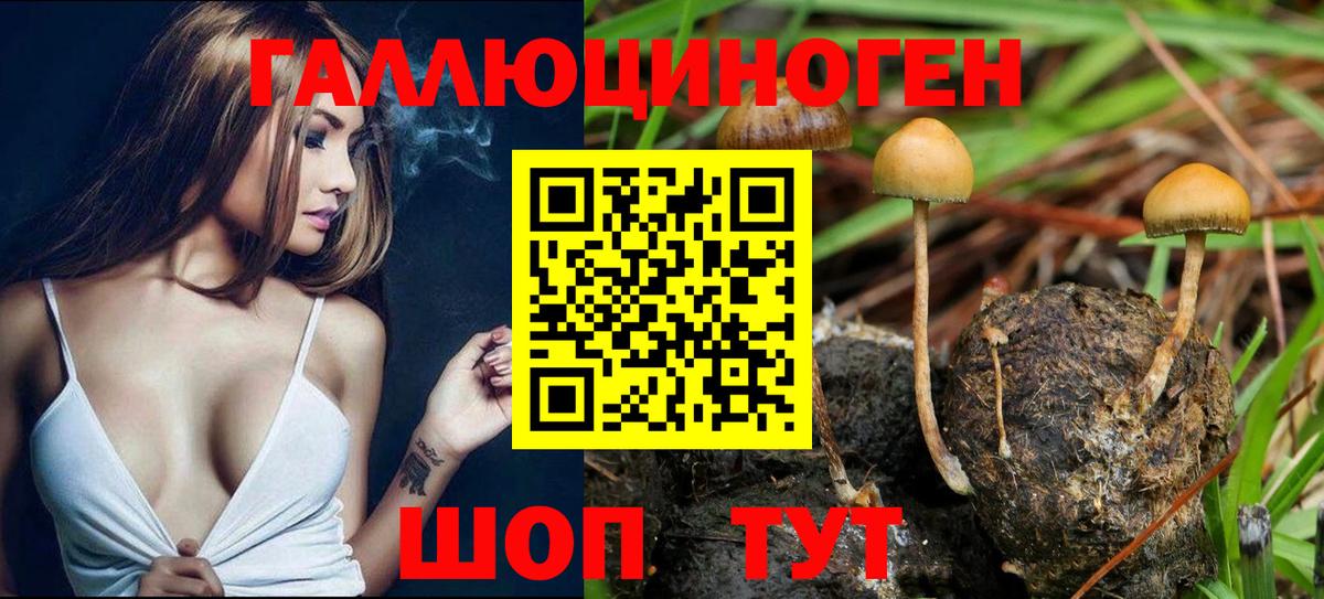 Псилоцибиновые грибы ЛСД  Вход с VPN  Галлюциногенные грибы GOLDEN TEACHER  Мелеуз 